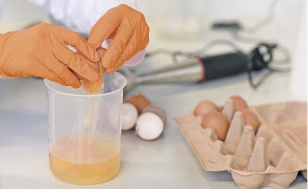 A German laboratory examines eggs to verify if they contain Fipronil pesticide-Photo: Andreas Gebertd/REUTERS