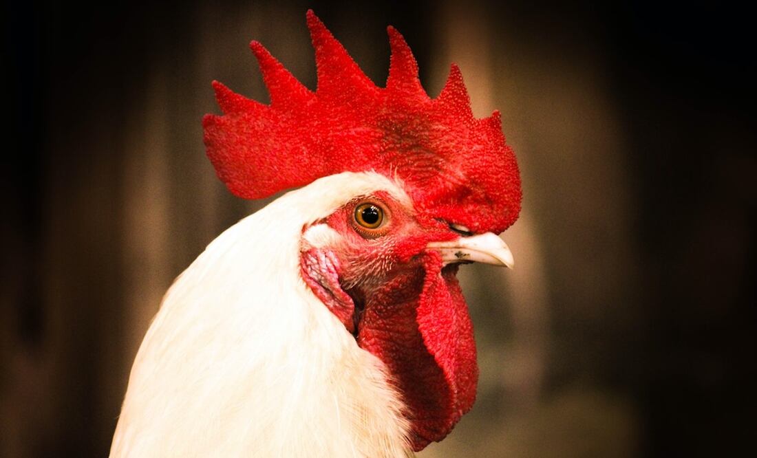 Foto: Moon Bhuyan / Pexels