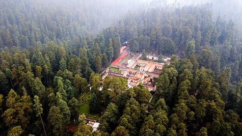 5 recorridos guiados en la CDMX, por si no hiciste puente