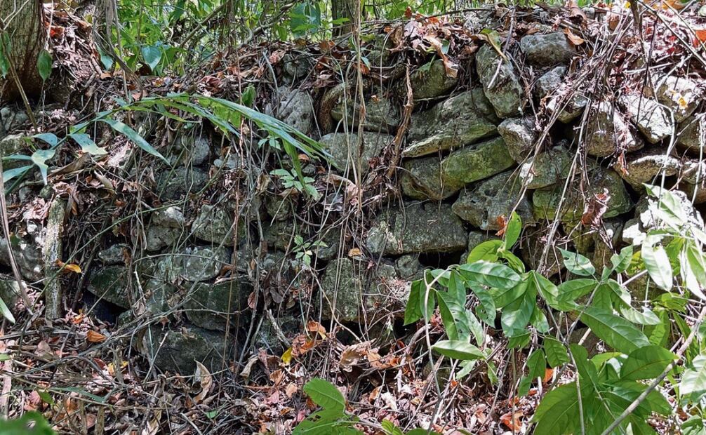 Durante su permanencia en el sitio, los especialistas encontraron vestigios de lo que pudieron ser viviendas y cerámica antigua. Foto: Yuko Shiratori