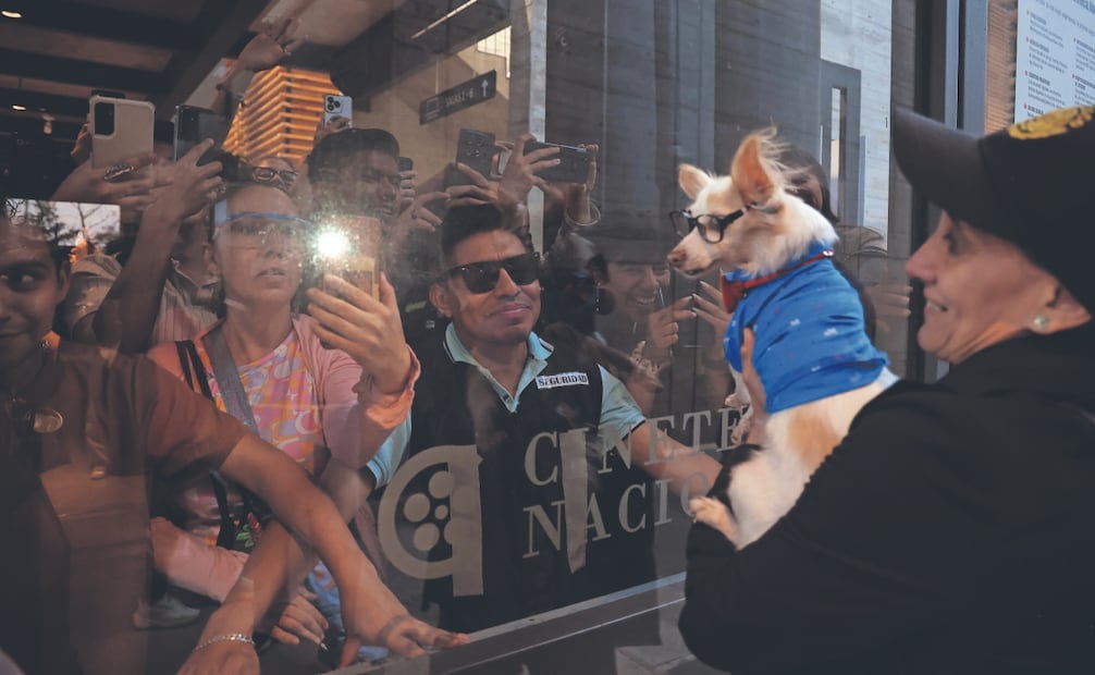 Desde las 10:00 horas, la gente esperó para poder conseguir uno de los 375 boletos para la charla del cineasta en la Cineteca de Chapultepec. Foto: Gabriel Pano/ EL UNIVERSAL