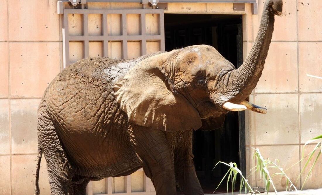 FOTO: Germán Espinosa/ EL UNIVERSAL/