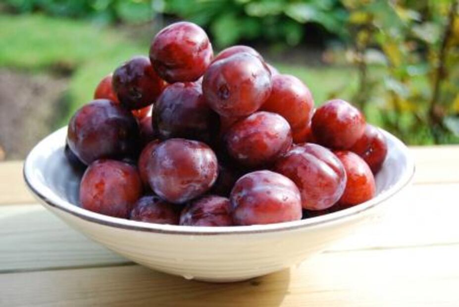 Camu-camu, la sorprendente fruta que combate la obesidad 