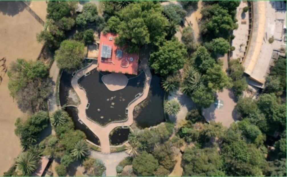 10 datos sobre el Zoológico de Chapultepec, a sus 98 años