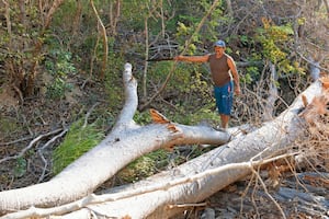 “Era un griterío, que no sabíamos qué hacer”; poblador narra primeros auxilios tras descarrilamiento del tren en Oaxaca