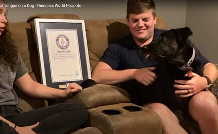 Perrita gana Récord Guinness por ser el can con la lengua más grande del mundo