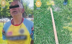 Hijo de pe... golpea con un palo a cachorrita hasta causarle la muerte, en la Cuauhtémoc