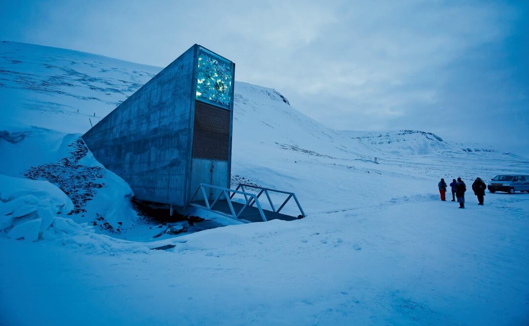 La Bóveda Global de Semillas de Svalbard, en Noruega, recibió 30 mil muestras nuevas el último año. Foto: Heiko Junge / EFE