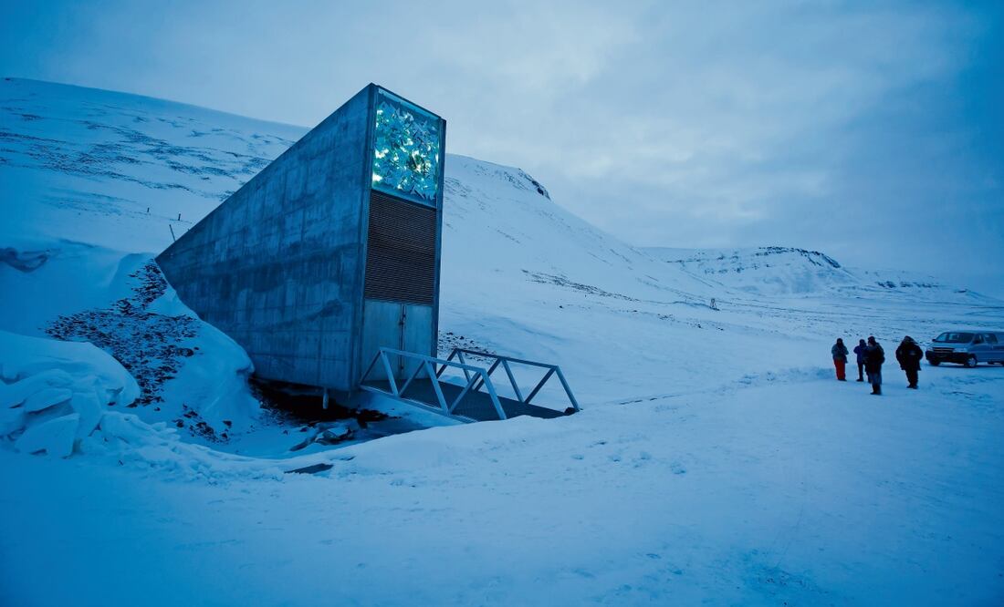 La Bóveda Global de Semillas de Svalbard, en Noruega, recibió 30 mil muestras nuevas el último año. Foto: Heiko Junge / EFE