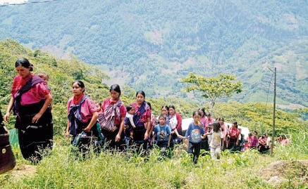 More than 11,000 people displaced by violence in Mexico