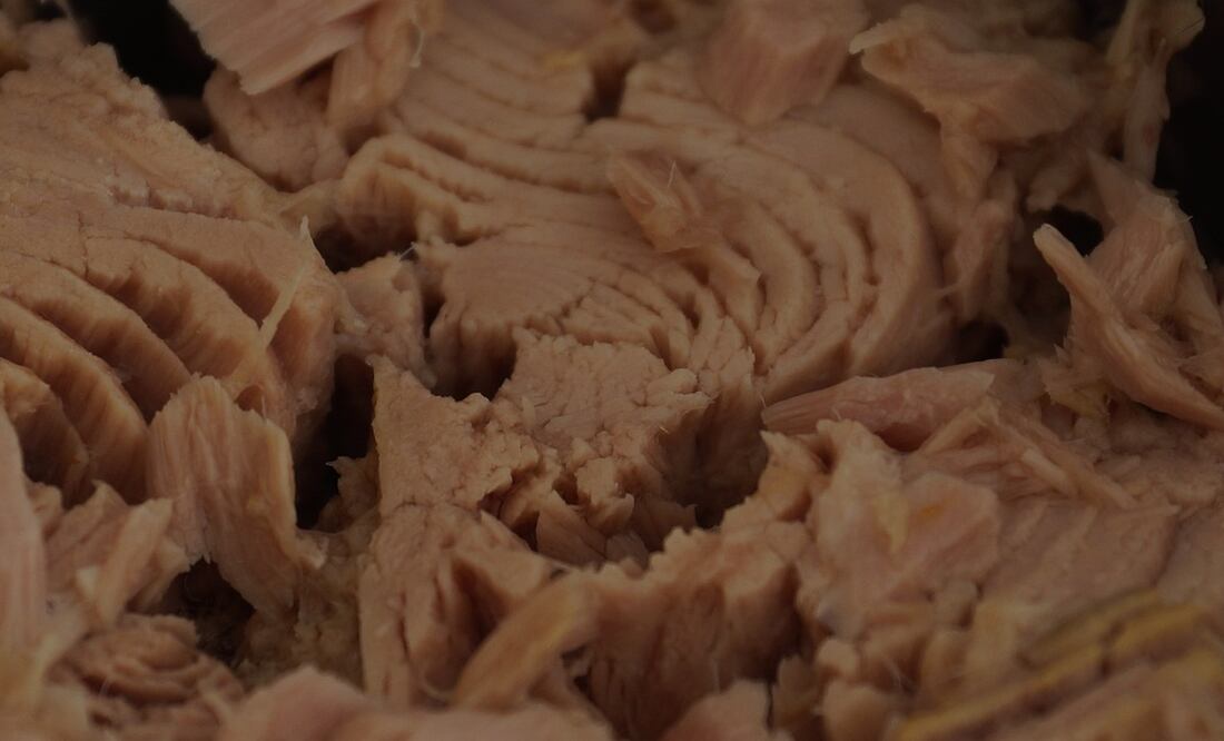 Atún y salud. Fuente: Pixabay