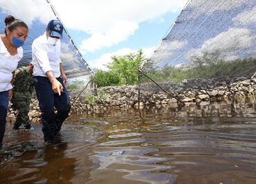 Campo yucateco, el más afectado por huracán "Delta", reporta Gobierno