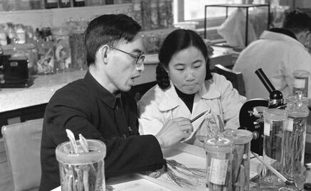 Prueban posible vacuna contra la malaria