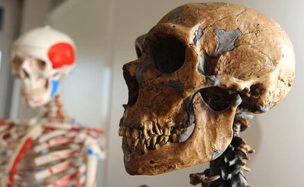 Los primeros Neandertales ya controlaban el fuego
