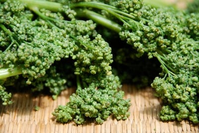 Cuáles son las propiedades nutritivas y curativas del huazontle