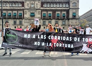Asociación pide que iniciativa de ley antitaurina en la CDMX suba al pleno
