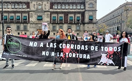 Asociación pide que iniciativa de ley antitaurina en la CDMX suba al pleno