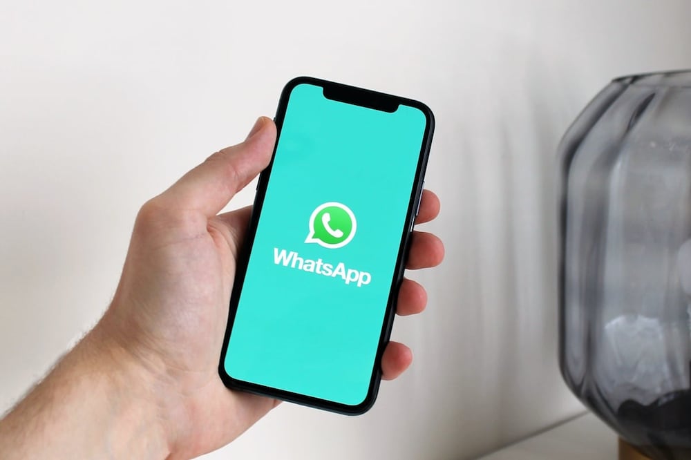 Si quieres recibir notificaciones de quién está en línea en WhatsApp esta es una nota que no te puedes perder / Foto: Pexels