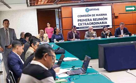 Avanza ley para que Marina vigile puertos y aeropuertos