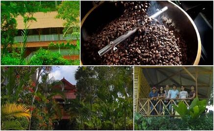 The coffee route of Chiapas
