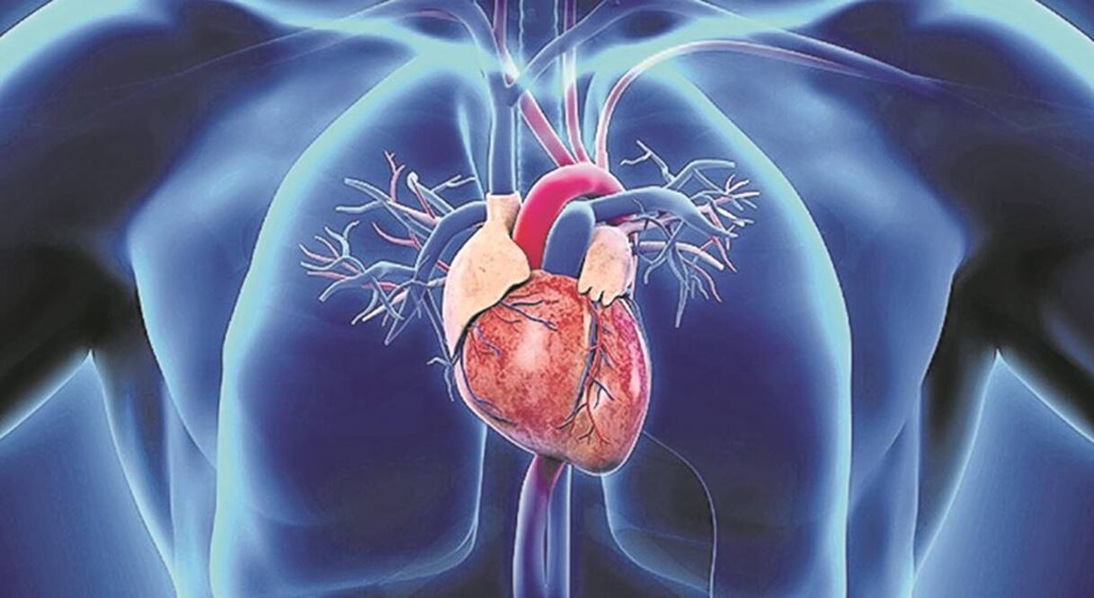 Las enfermedades cardiovasculares siguen siendo la principal causa de muerte en todo el mundo (ESPECIAL)