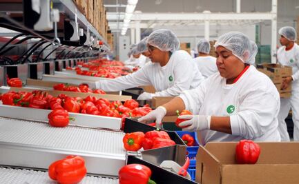 Mujeres aportan 2.7 veces más en el hogar