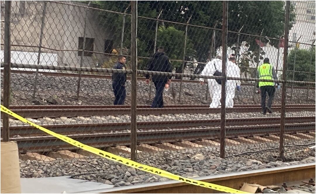 Tren Ligero. Foto: Especial