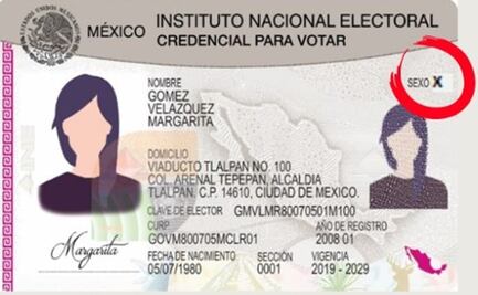 Personas no binarias podrían votar con la letra X en la credencial de elector del INE