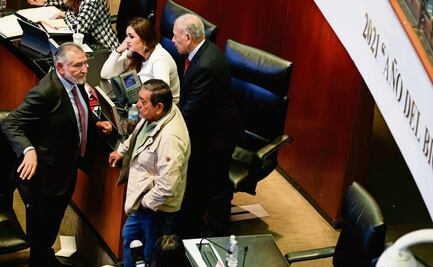 Senadores desoyen a la Presidenta; “el pueblo decidirá”