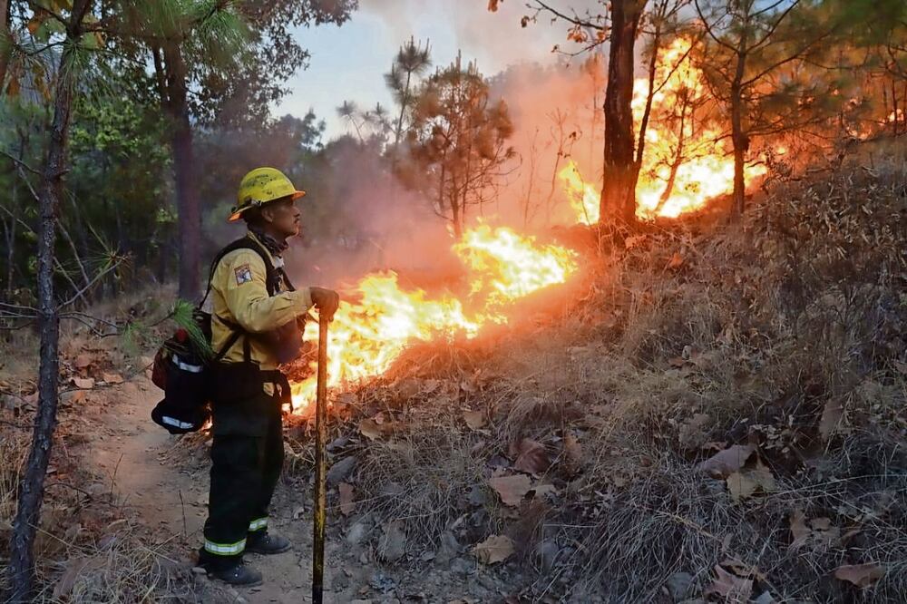 Del 1 de enero al 7 de junio de este año se han registrado en Jalisco 843 incendios forestales. Foto: Especial