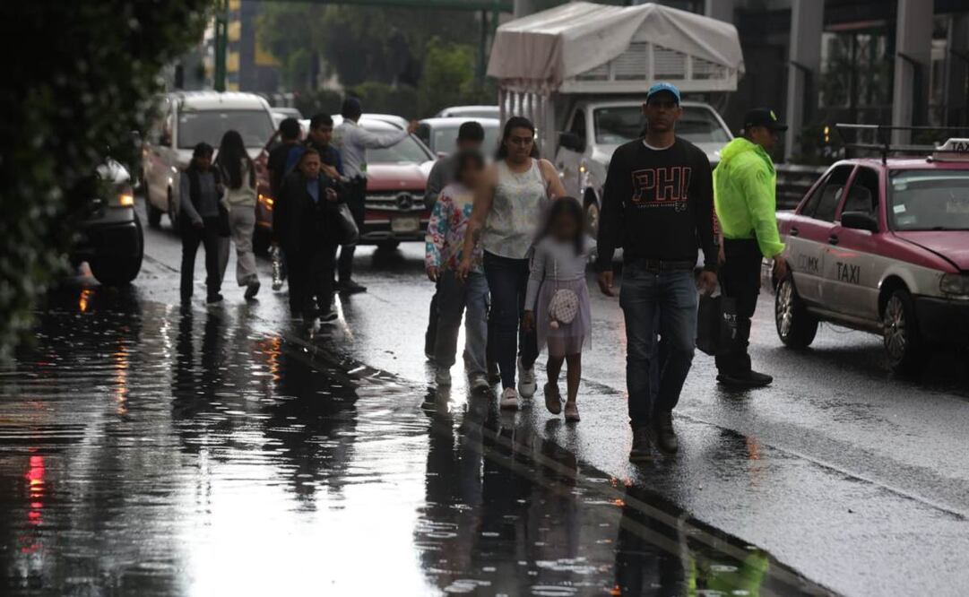 Intensas lluvias dejan 47 encharcamientos y 22 árboles caídos en CDMX (14/07/2025). Foto: Francisco Rodríguez / EL UNIVERSAL
