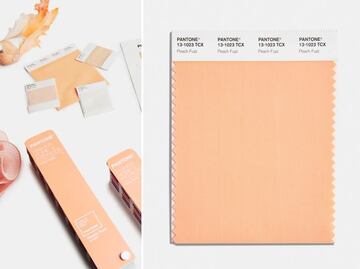 Peach Fuzz es el Color Pantone del Año 2024, un tono suave y cálido