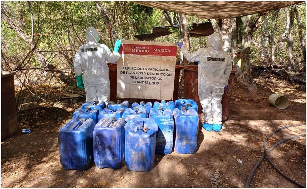 En dos meses y medio, la Secretaría de Marina (Semar) incautó más de 45 toneladas de diferentes drogas, causando un daño económico a los grupos delincuenciales. Foto: Especial