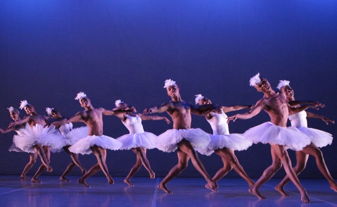 "Swan Lake". Foto: Cortesía