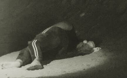 Levantan y abandonan herida a mujer en La Paz, Baja California Sur 