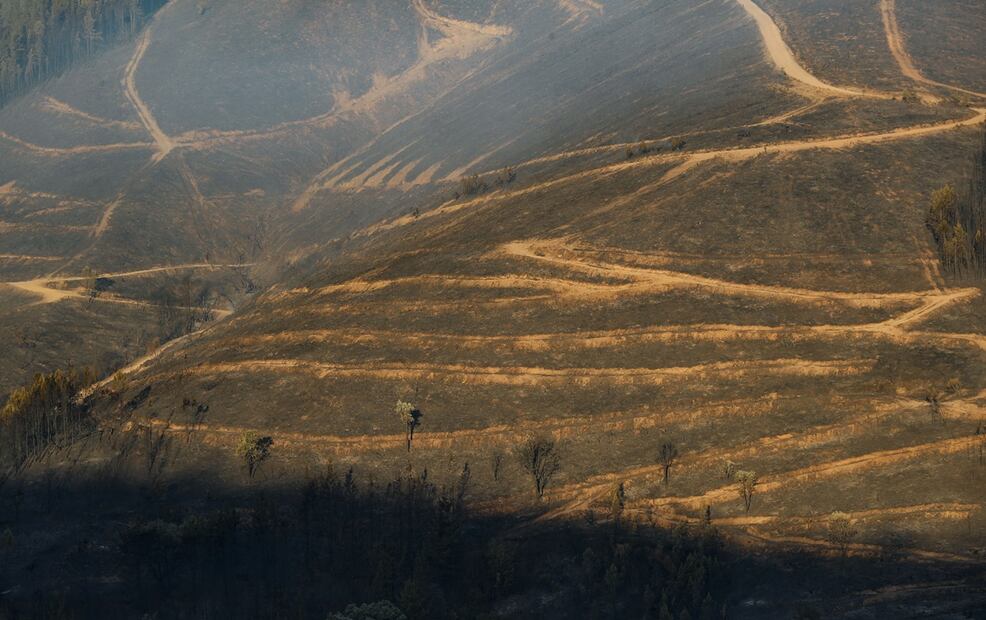 Imagen de grandes extensiones de terreno calcinado por el incendio en Pobra de Brollón-Quiroga, el martes 26 de agosto de 2025. Foto: EFE