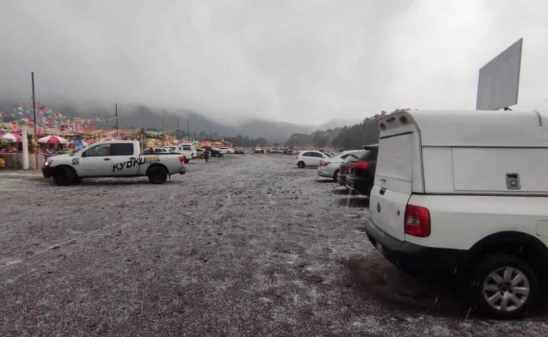 Foto: Twitter. Alcaldía Tlalpan