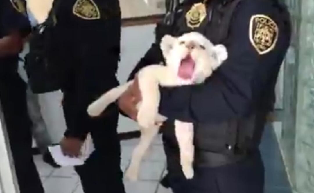 Fotografía: Especial 