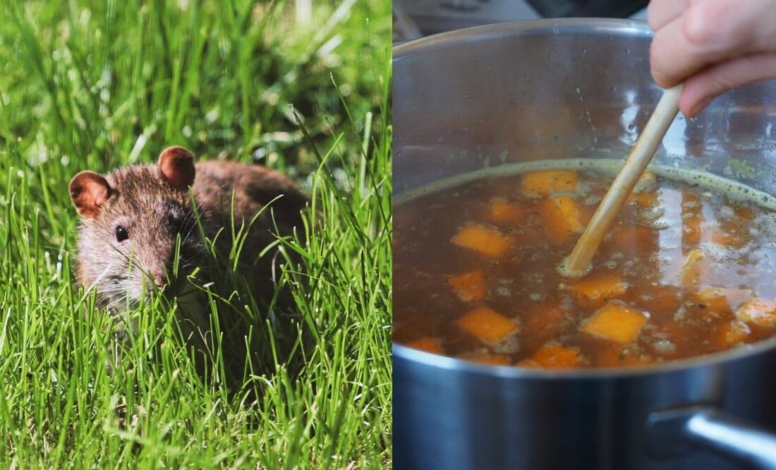 La rata suele servirse en caldo con verduras. Foto: M. R. / Unsplash y Hans / Pixabay