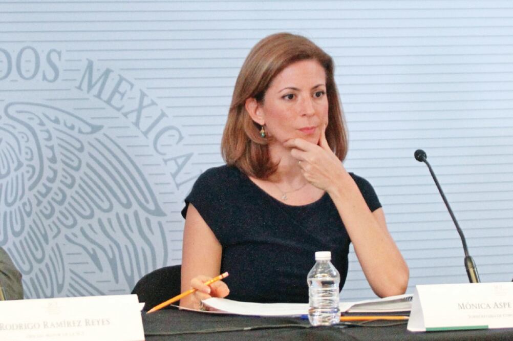 La subsecretaria Mónica Aspe aseguró que todos los comentarios de las empresas interesadas en la Red Compartida serán analizados a detalle (ARCHIVO EL UNIVERSAL)