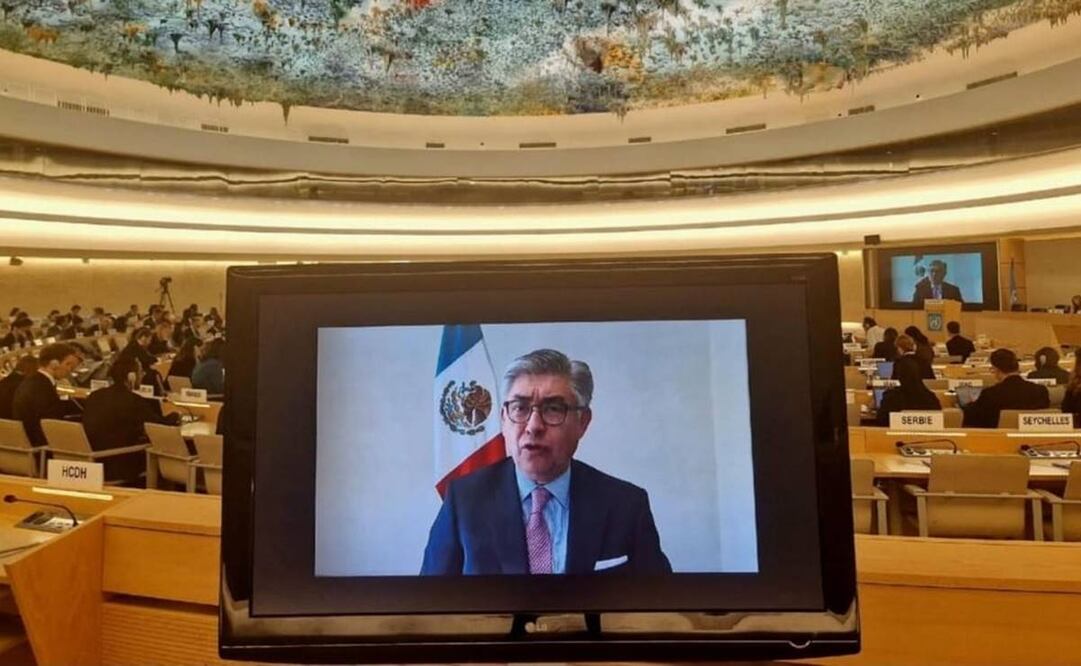 México participó como Estado observador. Foto: Especial