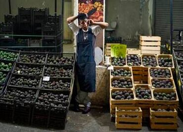 High avocado prices fueling deforestation in Mexico
