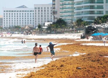Magnifican el tema del sargazo, dice AMLO