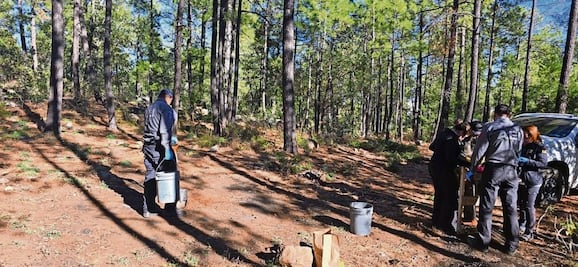 Encuentran fragmentos óseos en rastreo