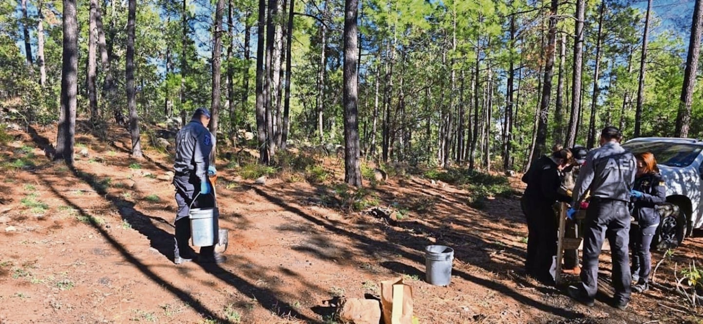En el rastreo participaron agentes del MP y elementos de la Agencia Estatal de Investigación. Foto: Especial