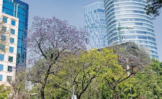Clima CDMX: Pronostican ambiente caluroso y cielo despejado para este sábado 7 de marzo; temperatura máxima será de 25 grados  