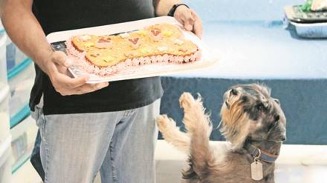 De plataformas petroleras... a pasteles para perros