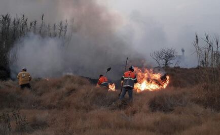 Reportan incendio en Ciénaga Grande de Xochimilco