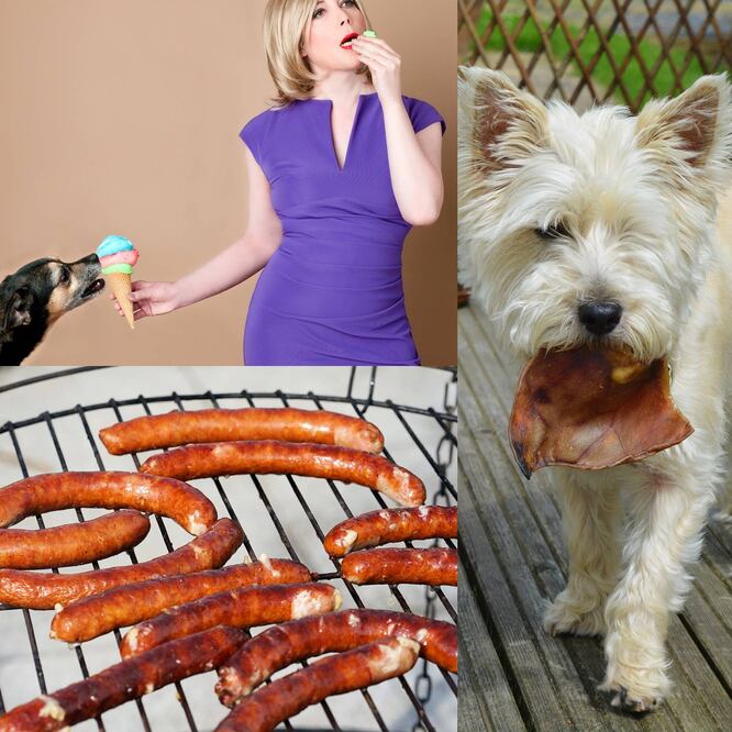 Las papas, el tomate verde y el jitomate no maduros pueden provocar la muerte del animal / Foto: Pixabay