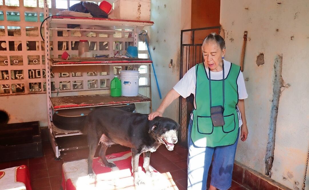 Doña Meche, de 83 años y quien es un símbolo del activismo de la defensa de los animales en el norte de Oaxaca, salva perros de las calles de Tuxtepec. Foto: Antonio Mundaca y Especial